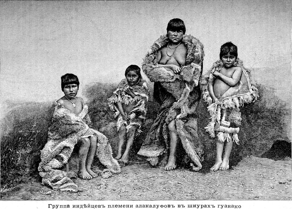 645 Группа индейцев племени алакалуфов в шкурах гуанако